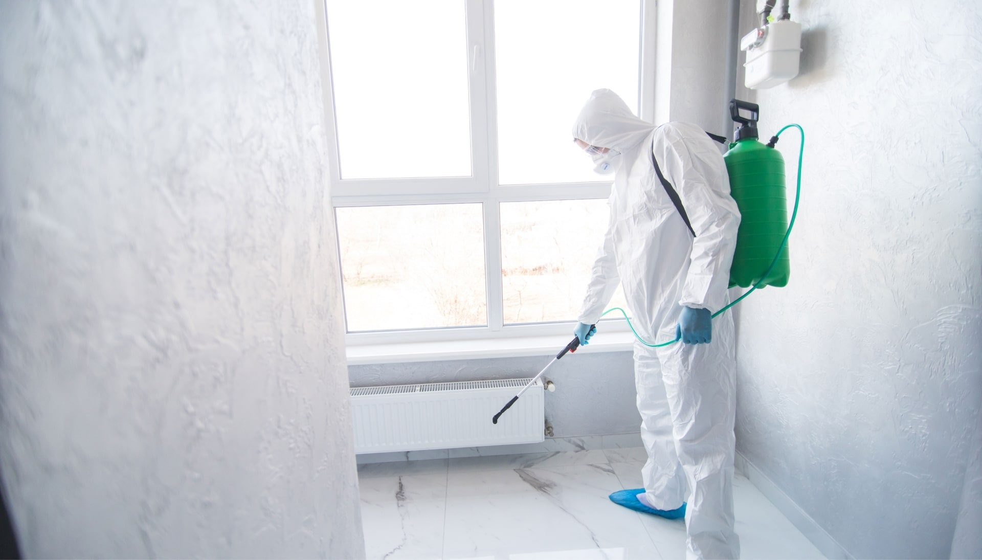 mold removal englewood co